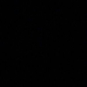 Meet your Posher, Mikayla